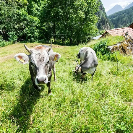 Holiday home Cozy In Tyrol Near Area