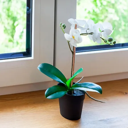 In Near Hochoetz Lift Tatil Evi *