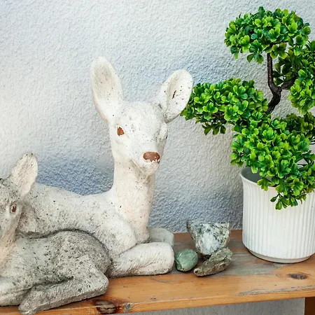 Tatil Evi In Near Hochoetz Lift