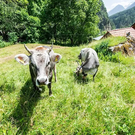 Tatil Evi In Near Hochoetz Lift