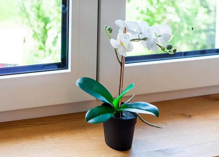 In Near Hochoetz Lift Σπίτι διακοπών *