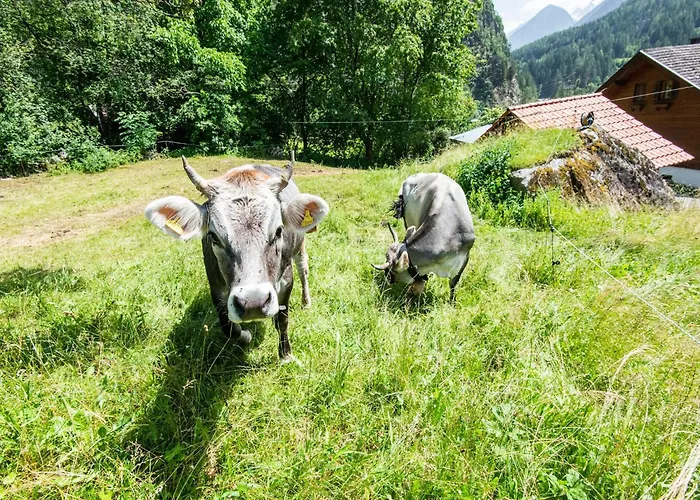 Σπίτι διακοπών In Near Hochoetz Lift